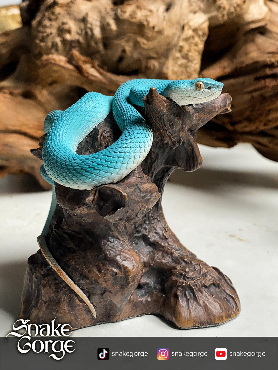 Snake Gorge - Trimeresurus