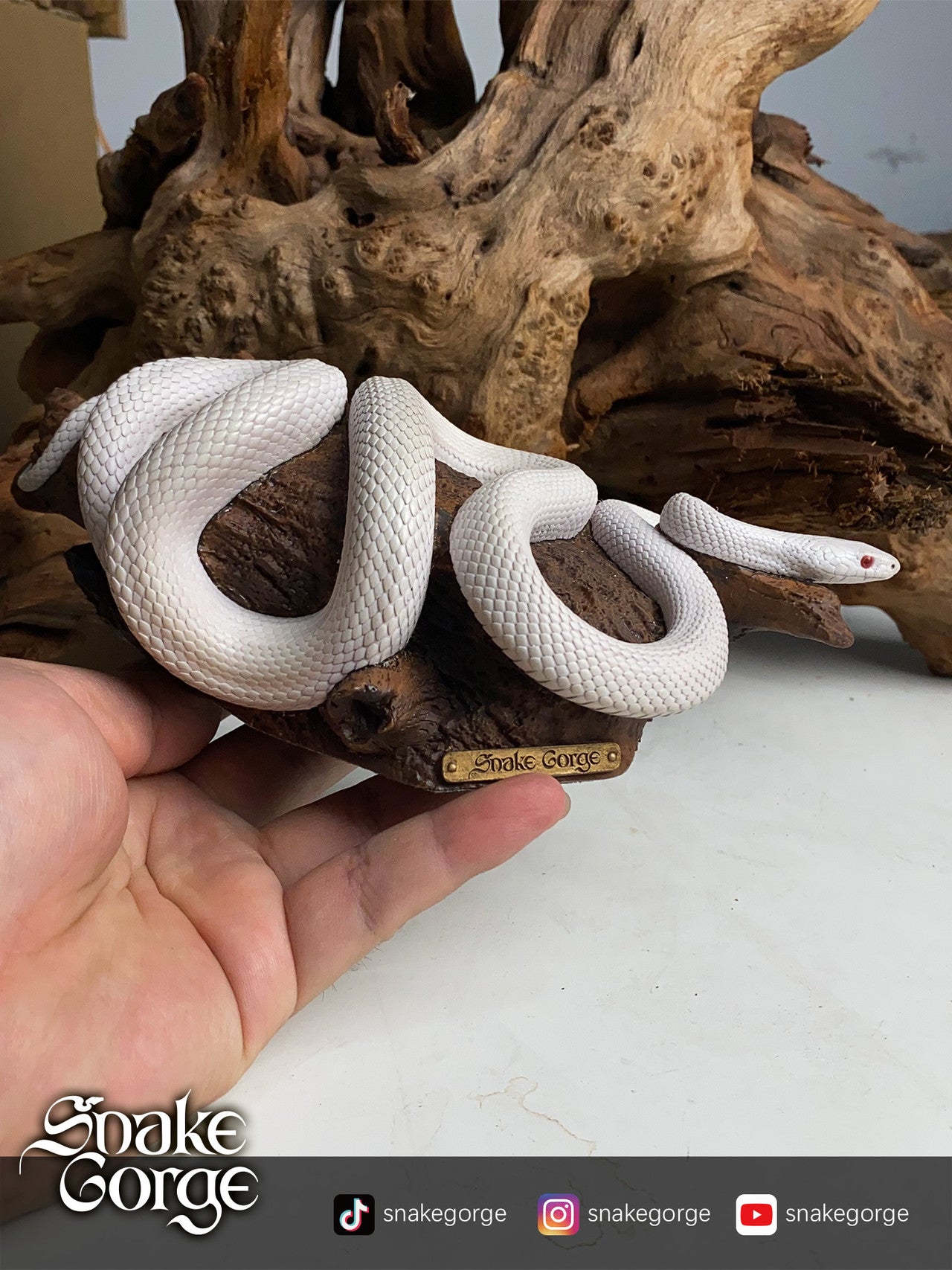 Snake Gorge - Pantherophis guttatus Whiteout