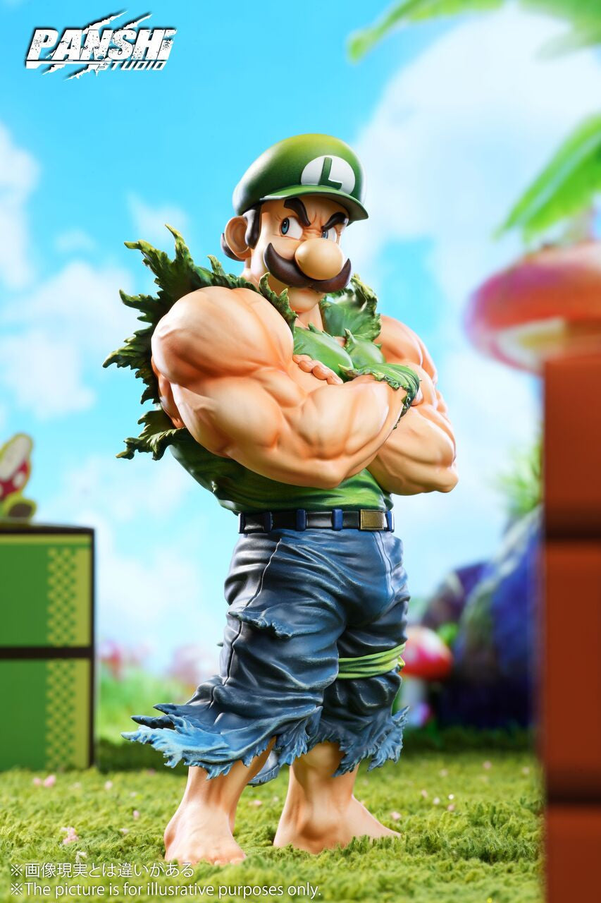Panshi - Super Mario and Luigi