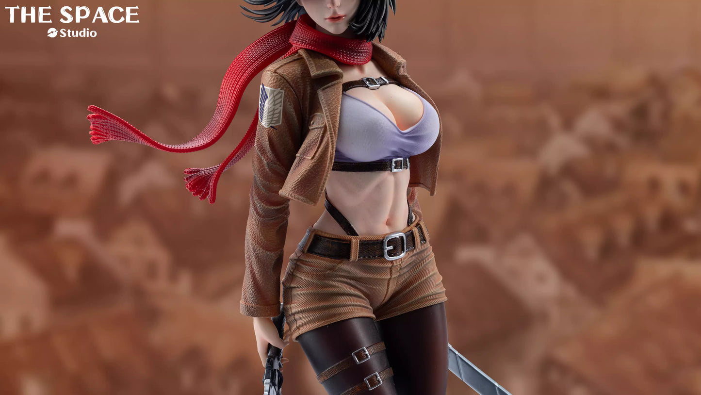 The Space - Mikasa