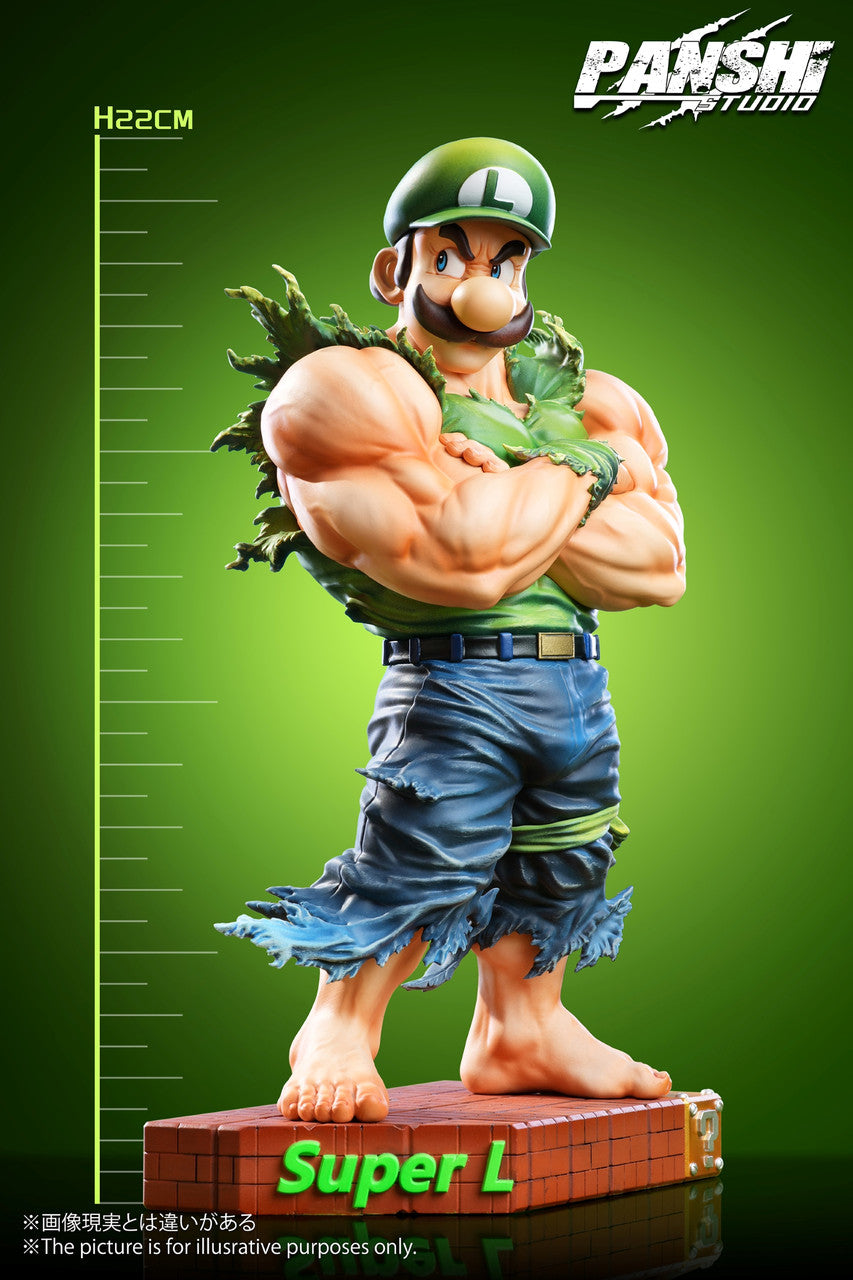 Panshi - Super Mario and Luigi