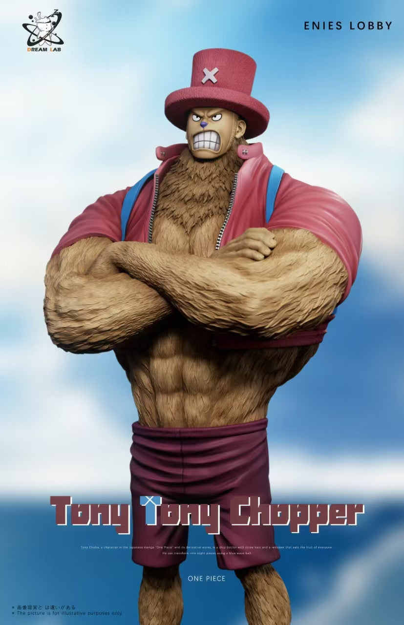 Dream Lab - Sanji and Chopper