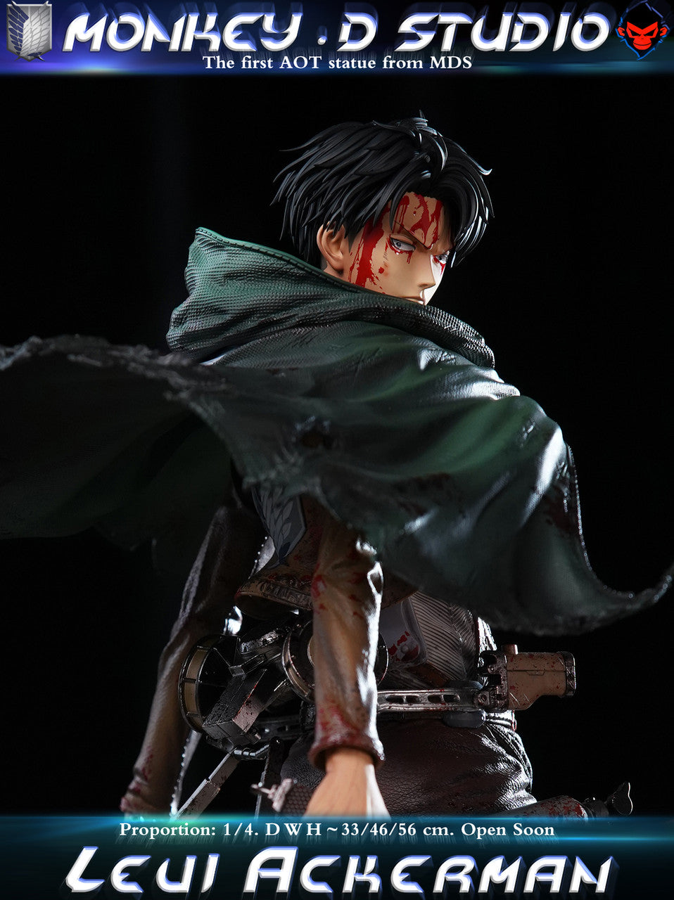 Monkey D - Levi