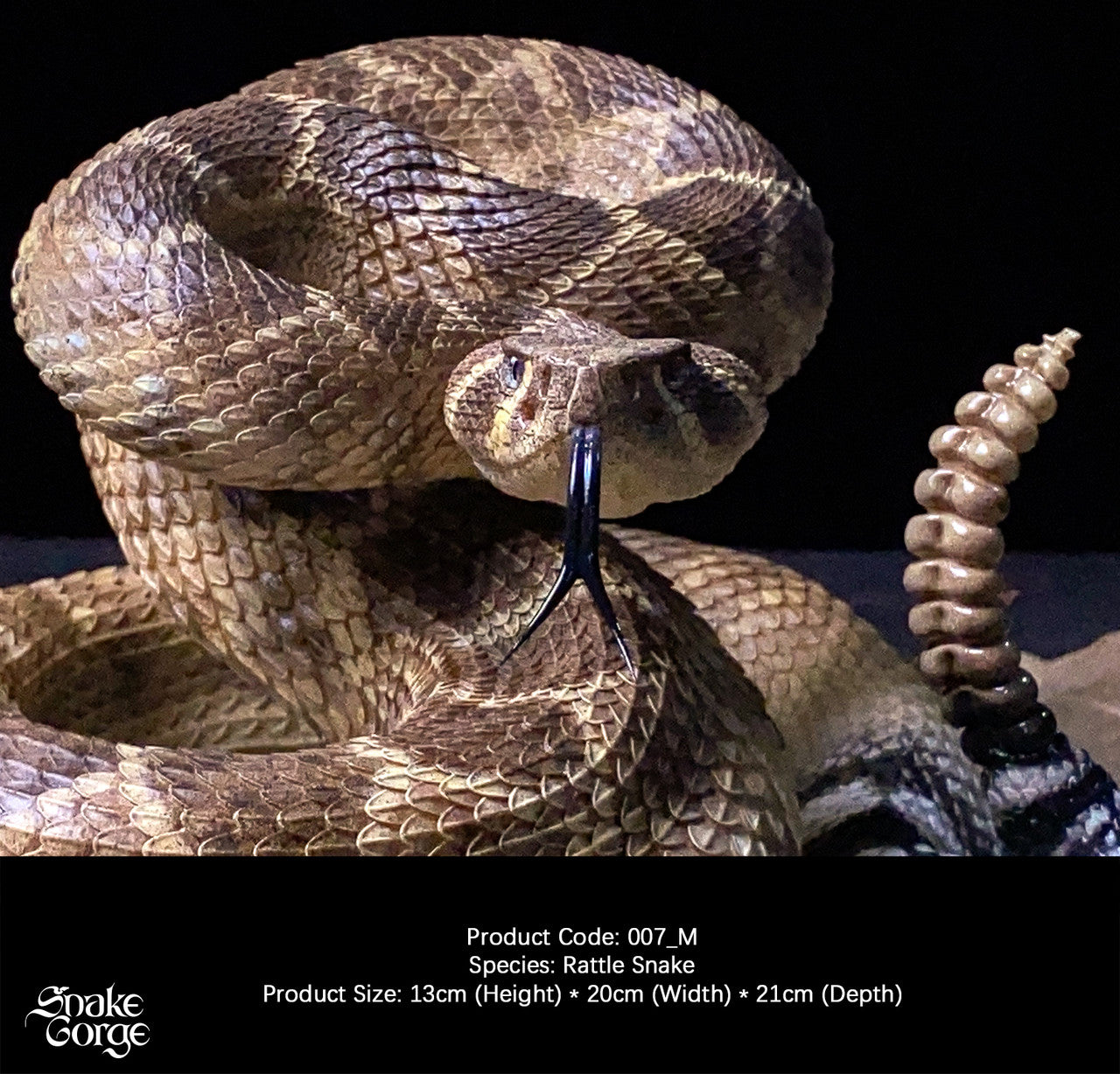 Snake Gorge - Crotalus atrox