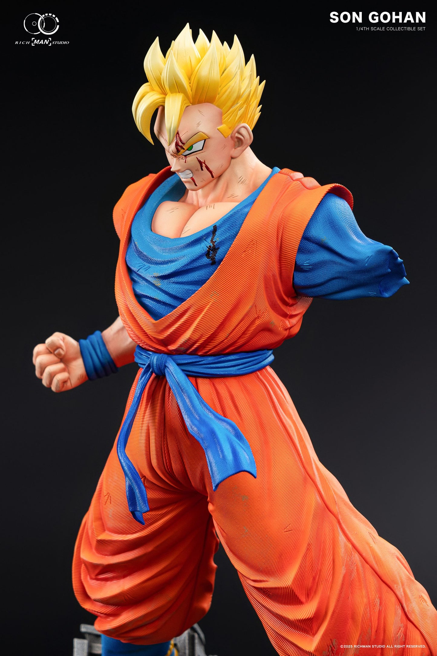Rich Man - Future Gohan