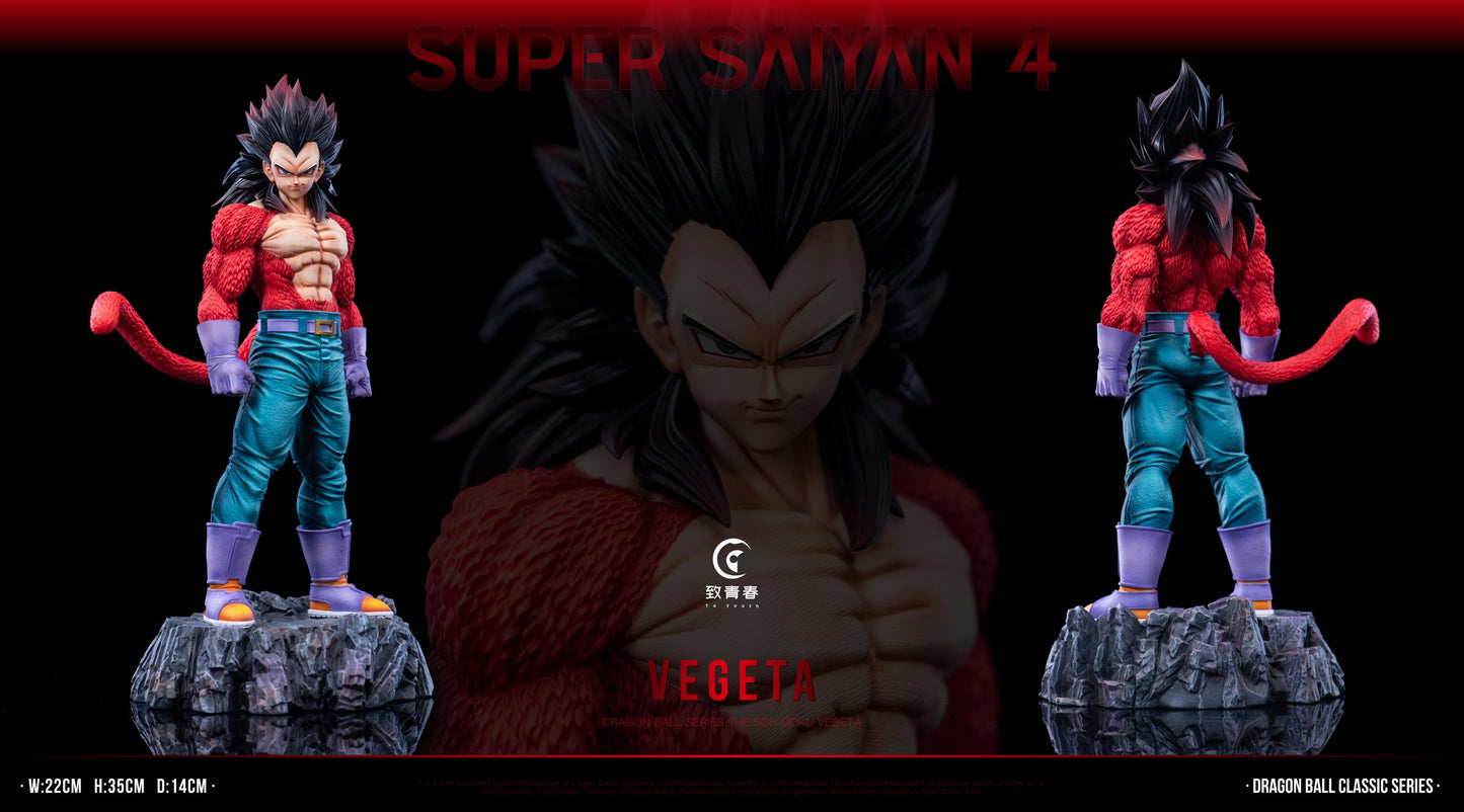 To Youth - SSJ4 Goku and Vegeta