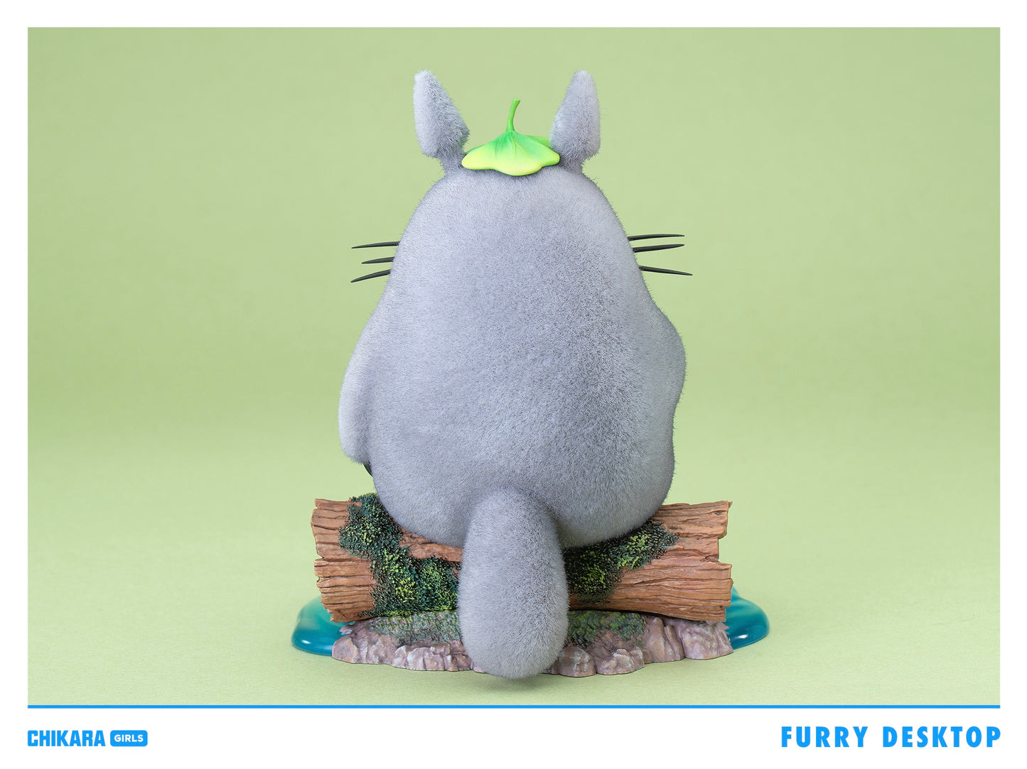 Chikara - Totoro
