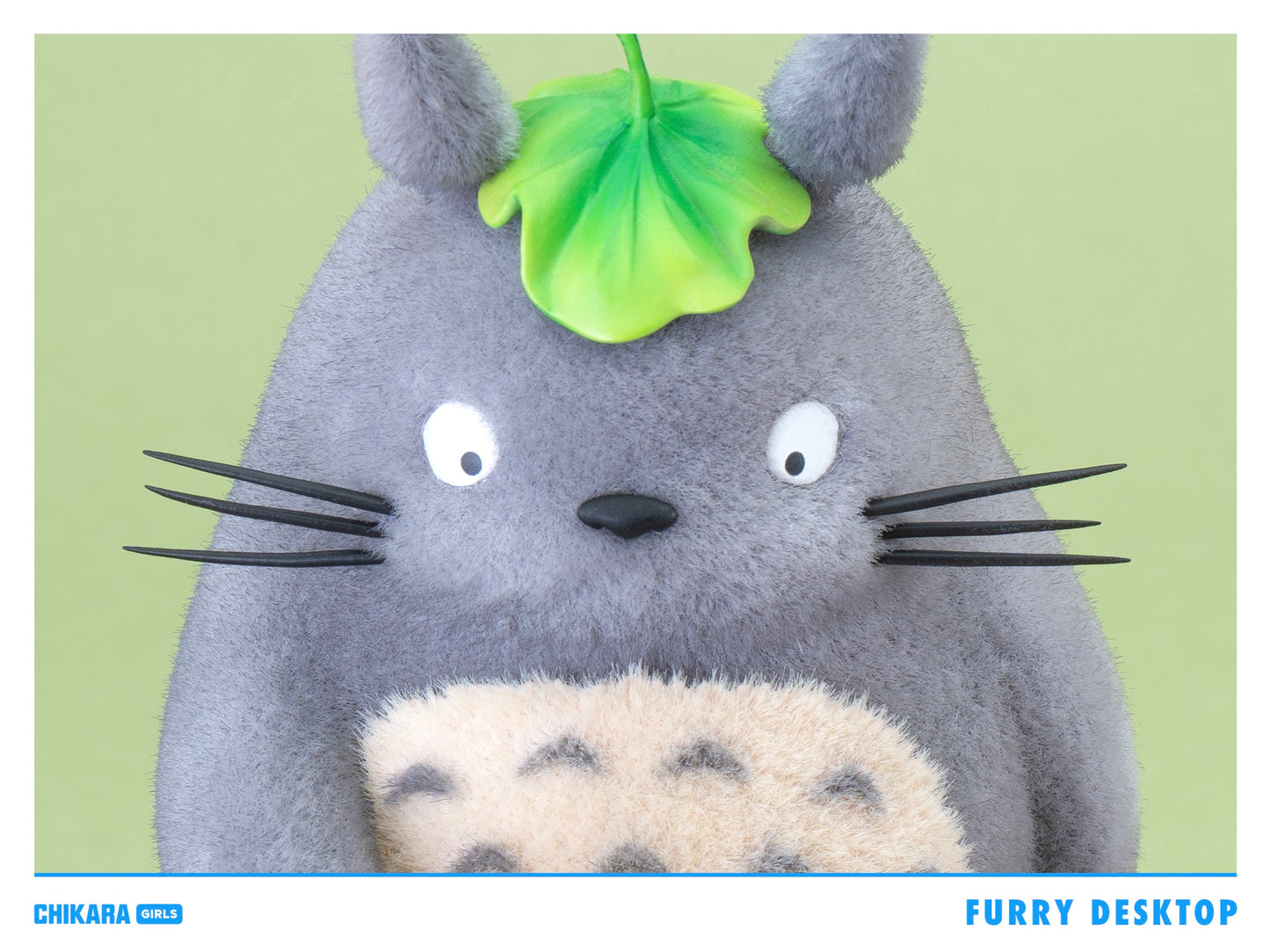Chikara - Totoro