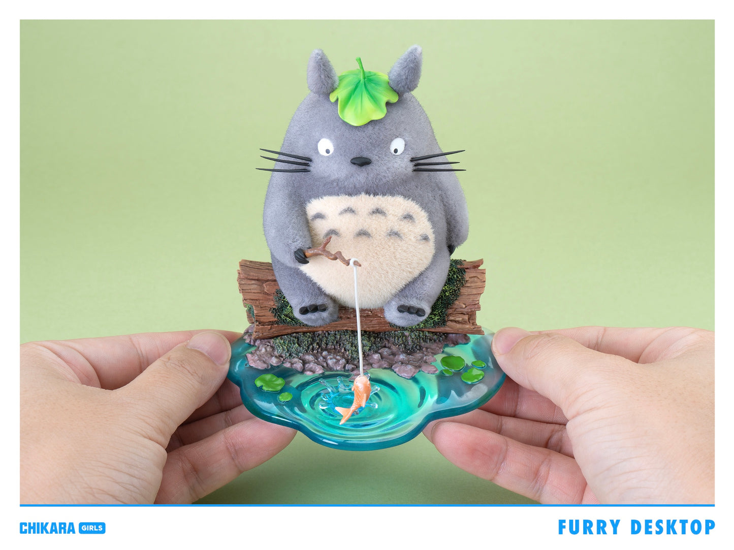 Chikara - Totoro