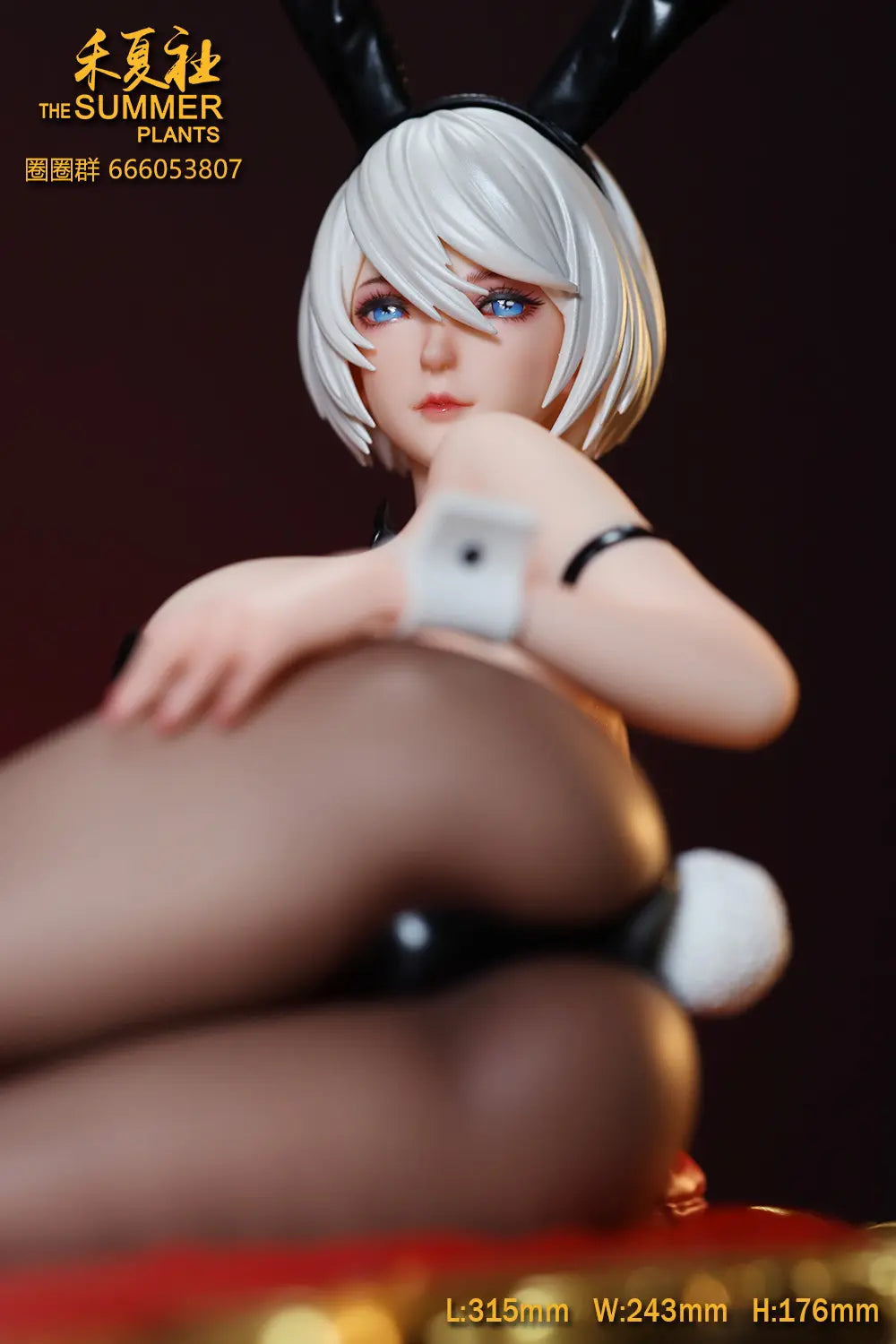 The Summer Plants - A2 and 2B