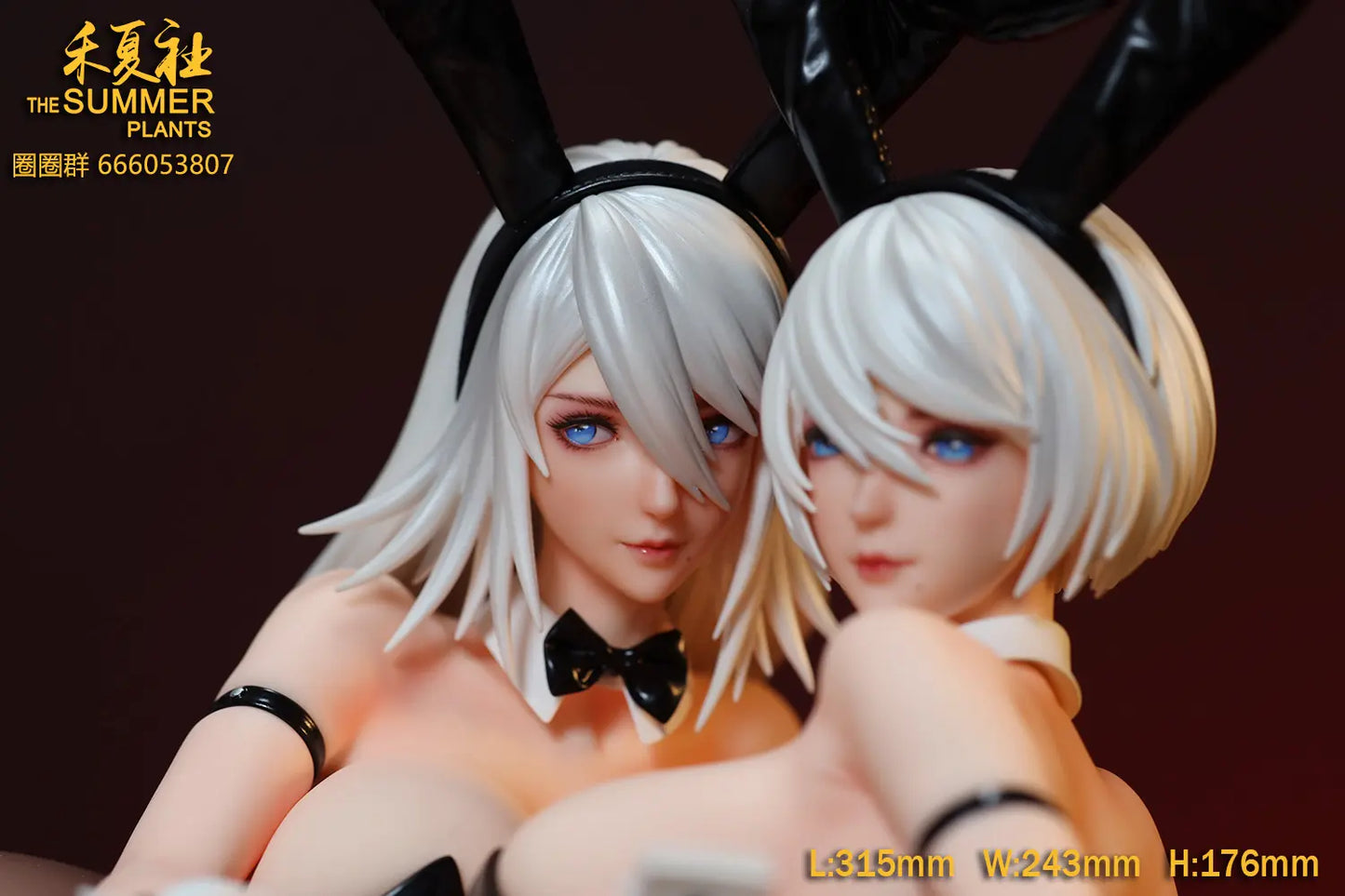 The Summer Plants - A2 and 2B