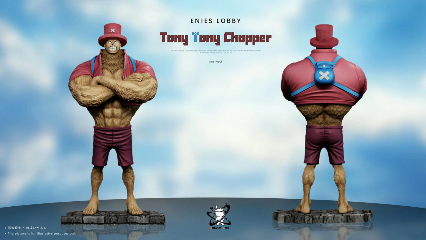 Dream Lab - Sanji and Chopper