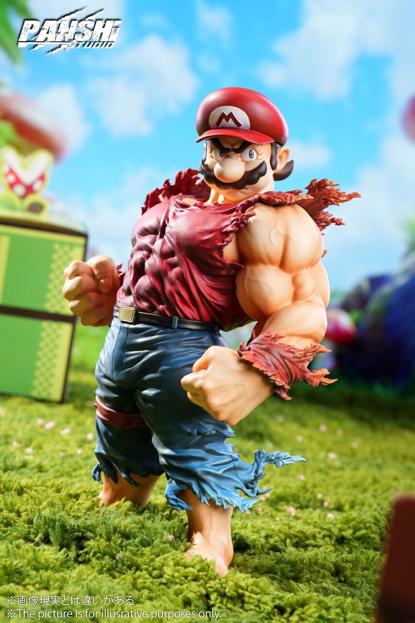 Panshi - Super Mario and Luigi