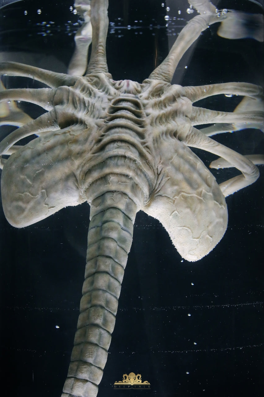 Deep Tale - Facehugger Stasis Chamber