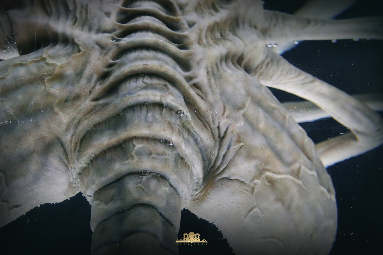Deep Tale - Facehugger Stasis Chamber