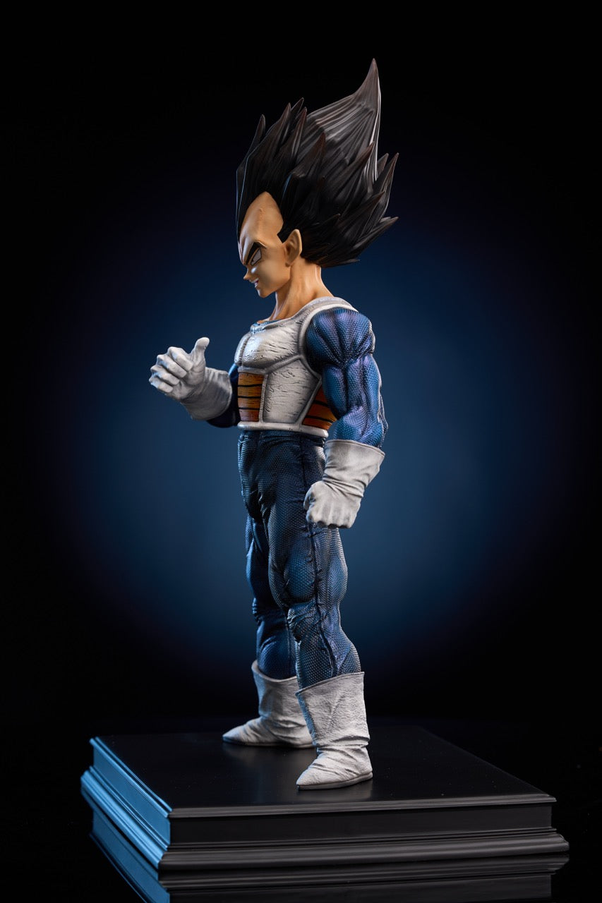 To Youth - Vegeta