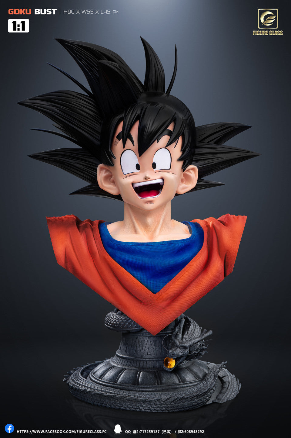 Figure Class - Goku
