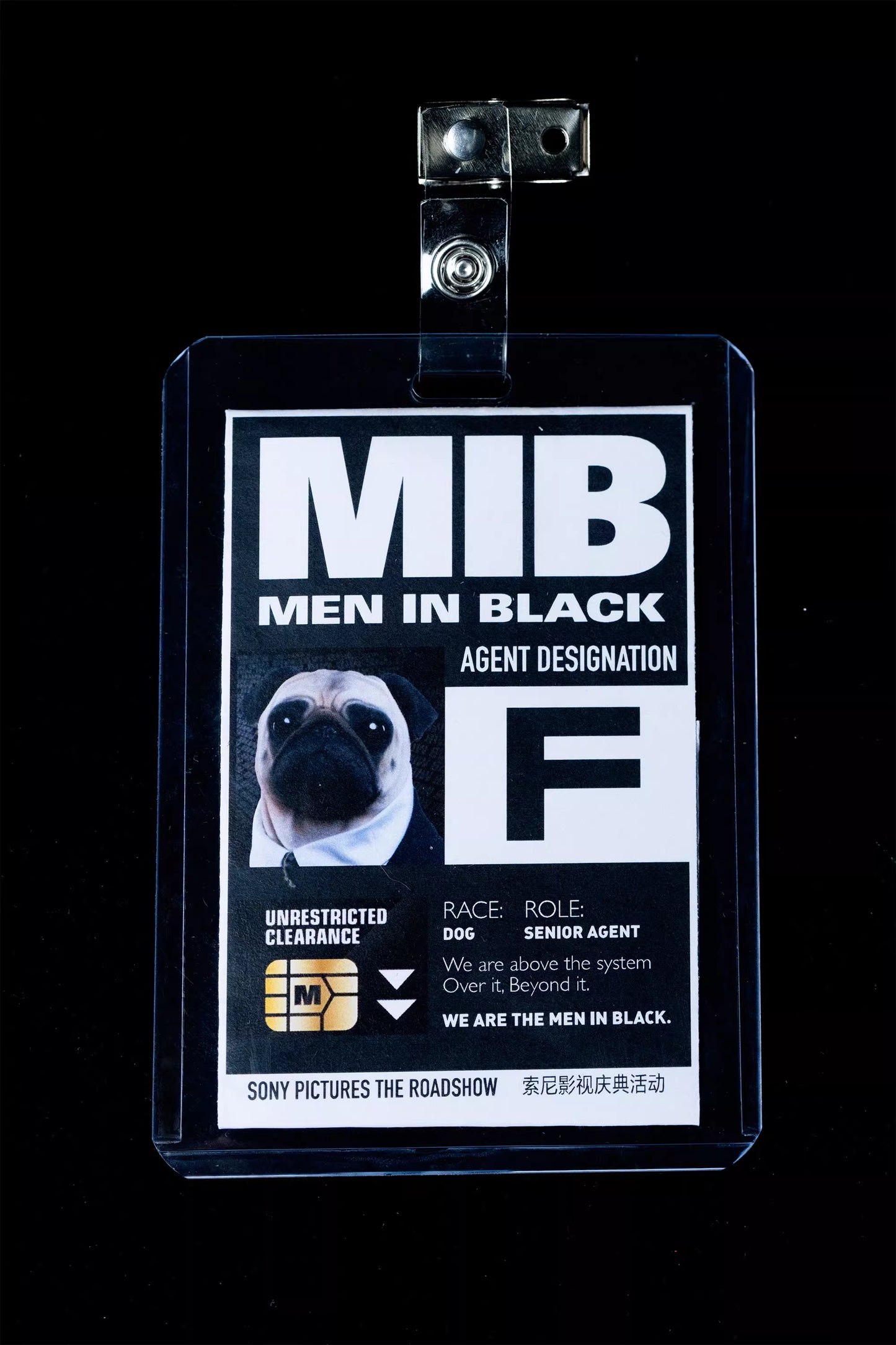 Infinity - Frank the Pug