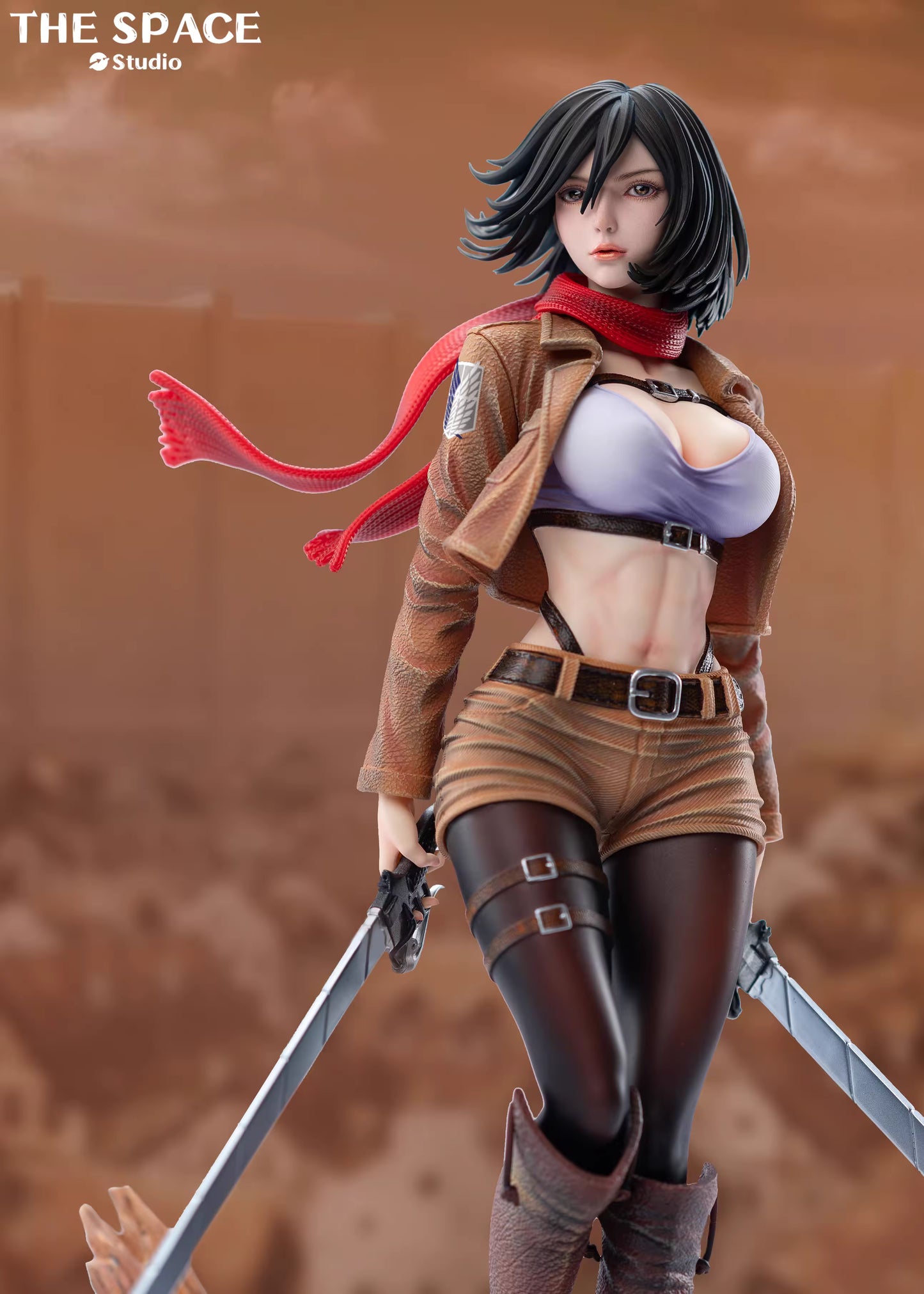 The Space - Mikasa