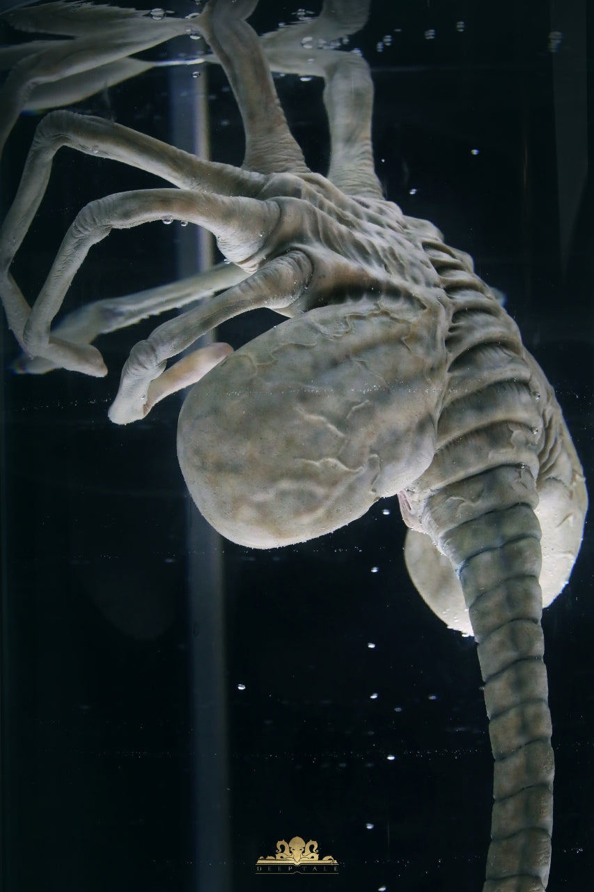 Deep Tale - Facehugger Stasis Chamber