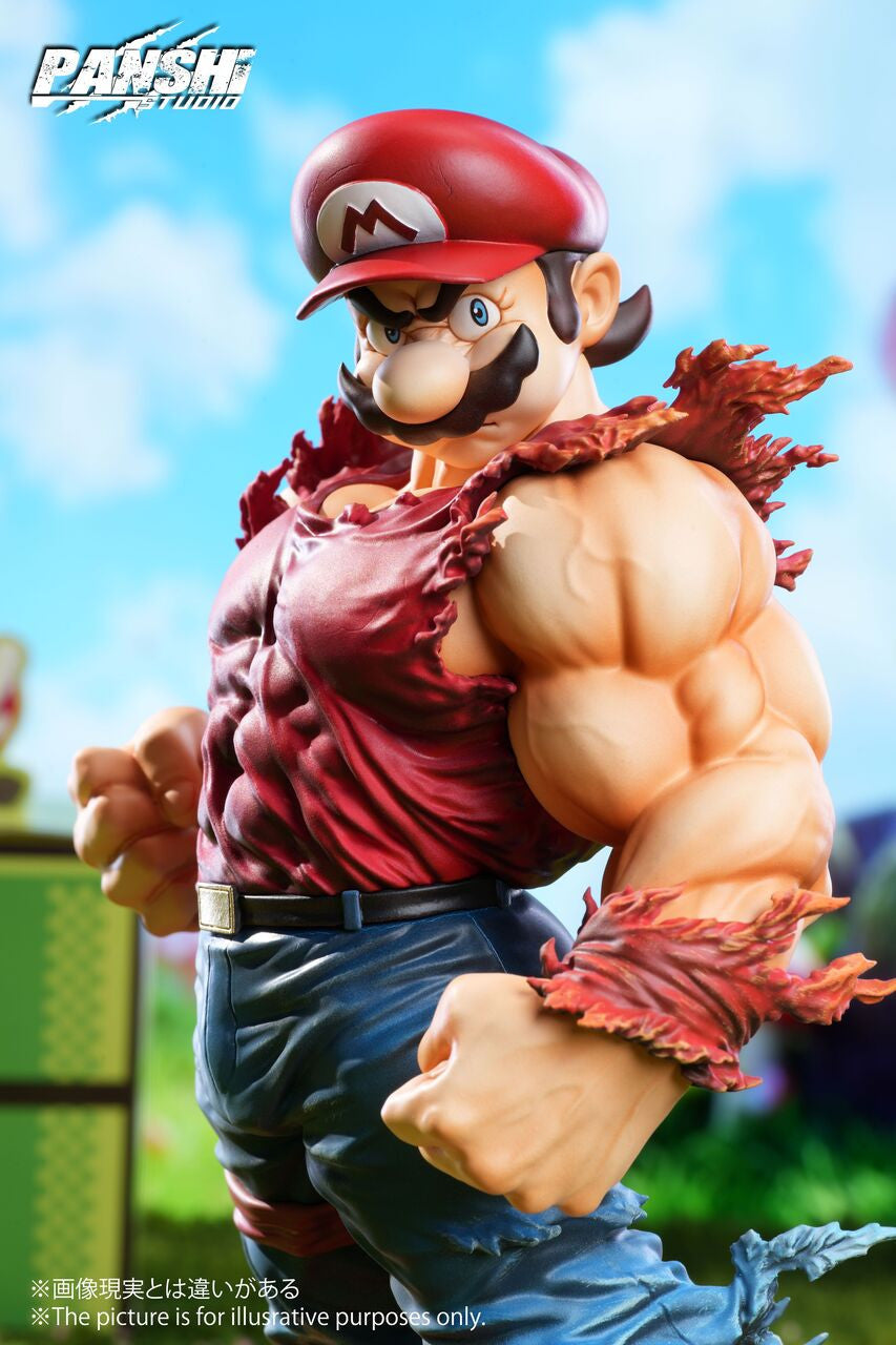 Panshi - Super Mario and Luigi