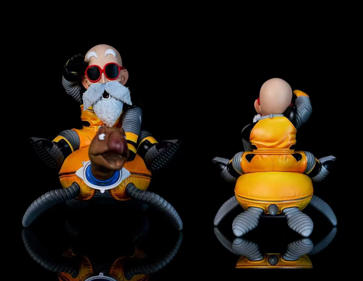 LG - Roshi and Turtle