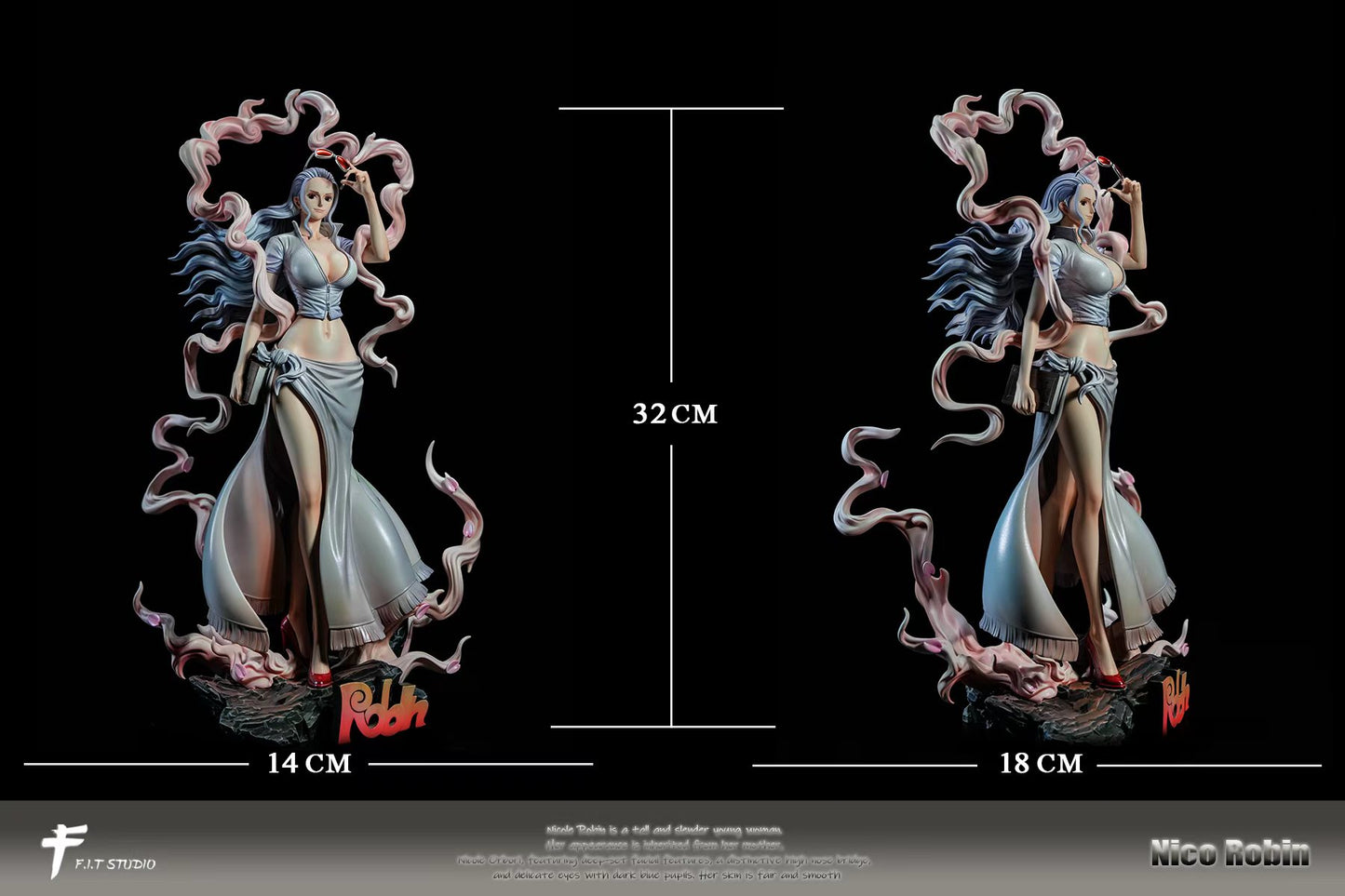 FIT - Nika Nico Robin