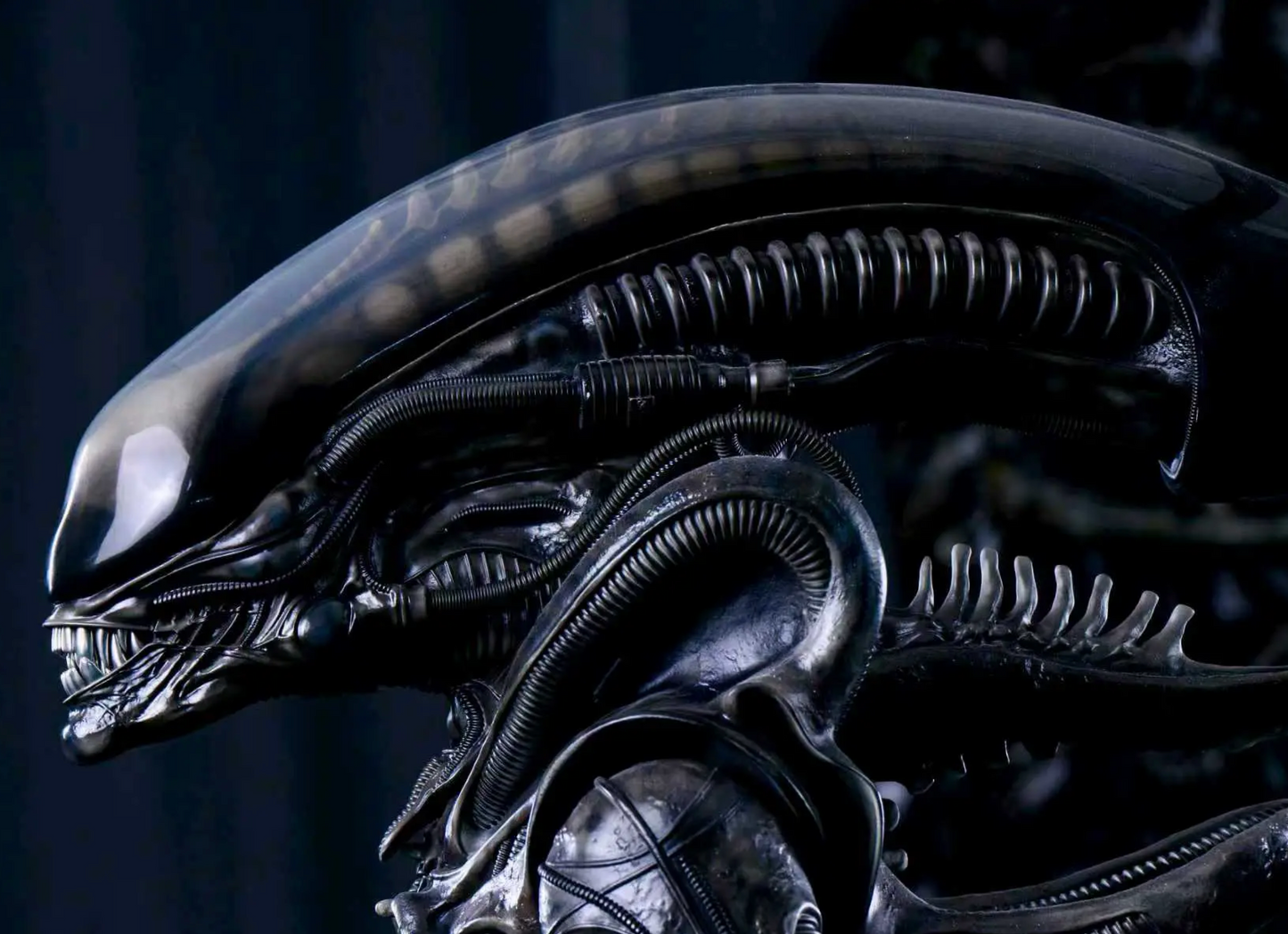 Reborn - Big Chap Alien