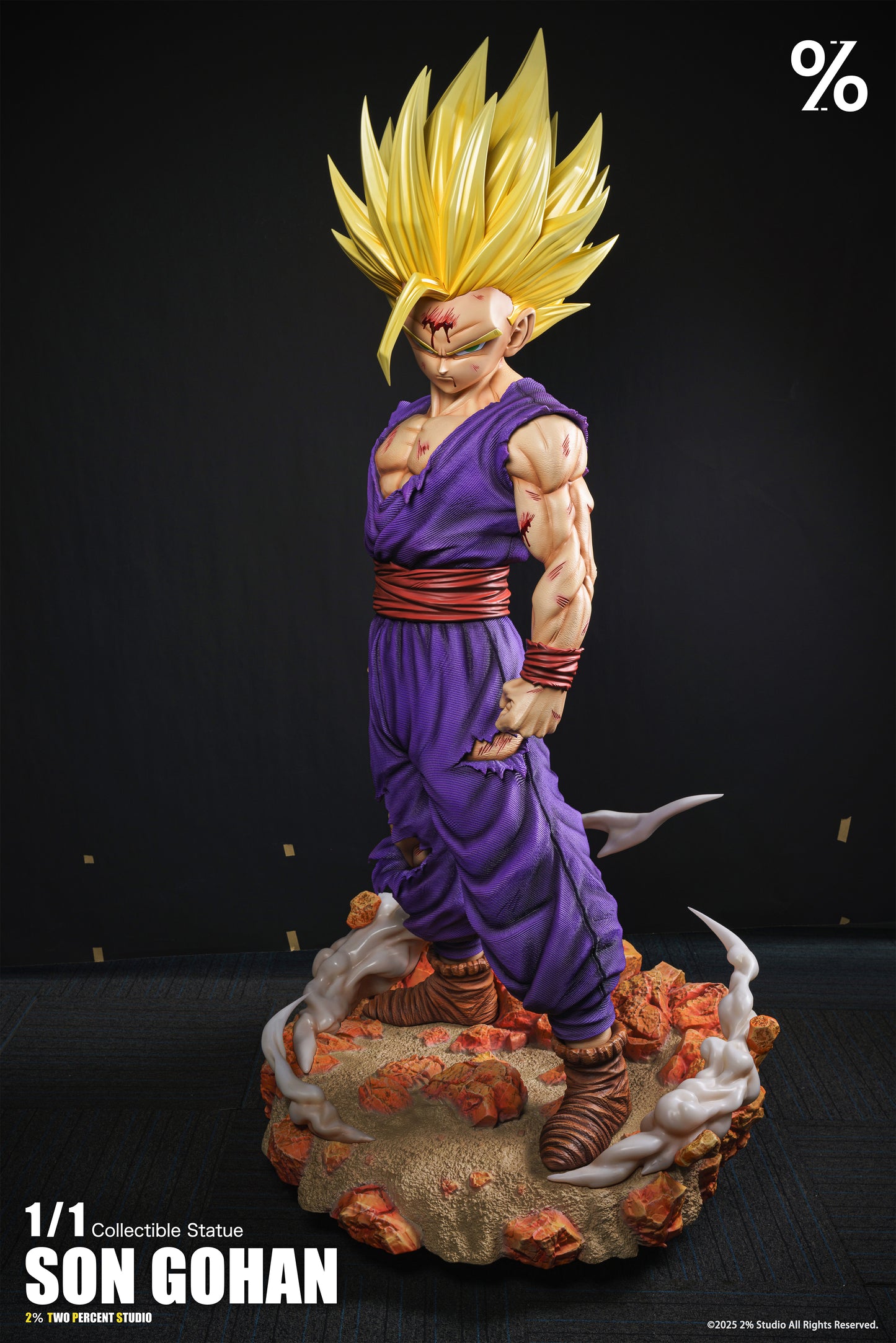 2% - SSJ2 Gohan