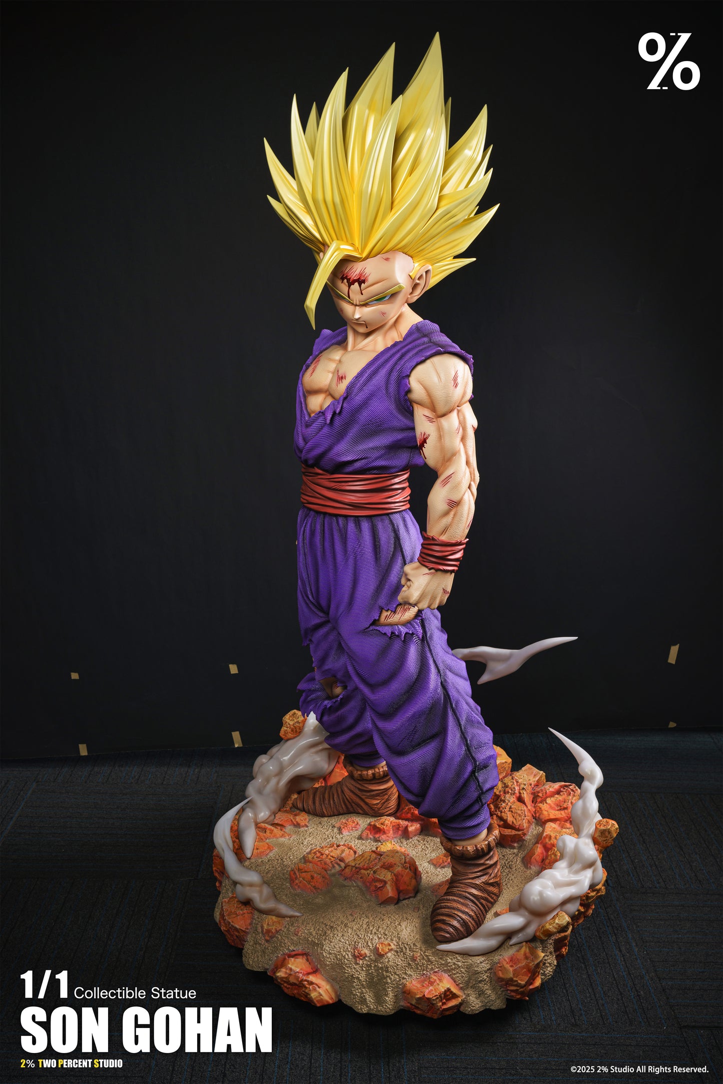 2% - SSJ2 Gohan