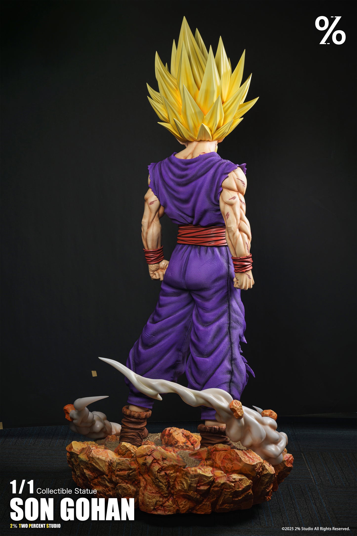 2% - SSJ2 Gohan