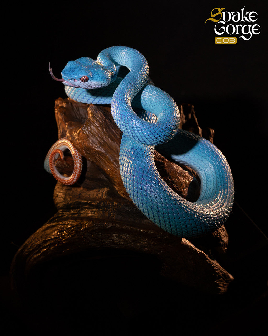 Snake Gorge - Indonesian pit viper