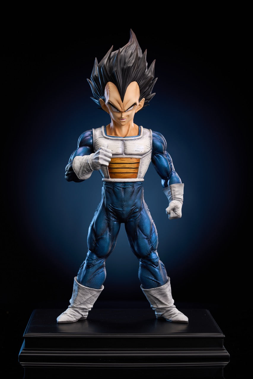 To Youth - Vegeta