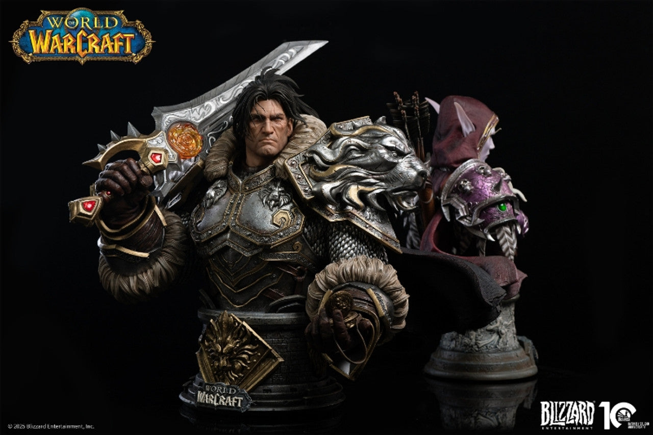 Blizzard Entertainment - Varian Wrynn