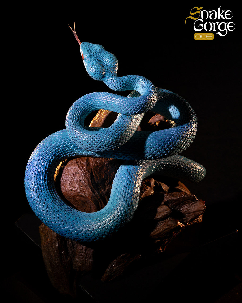 Snake Gorge - Indonesian pit viper