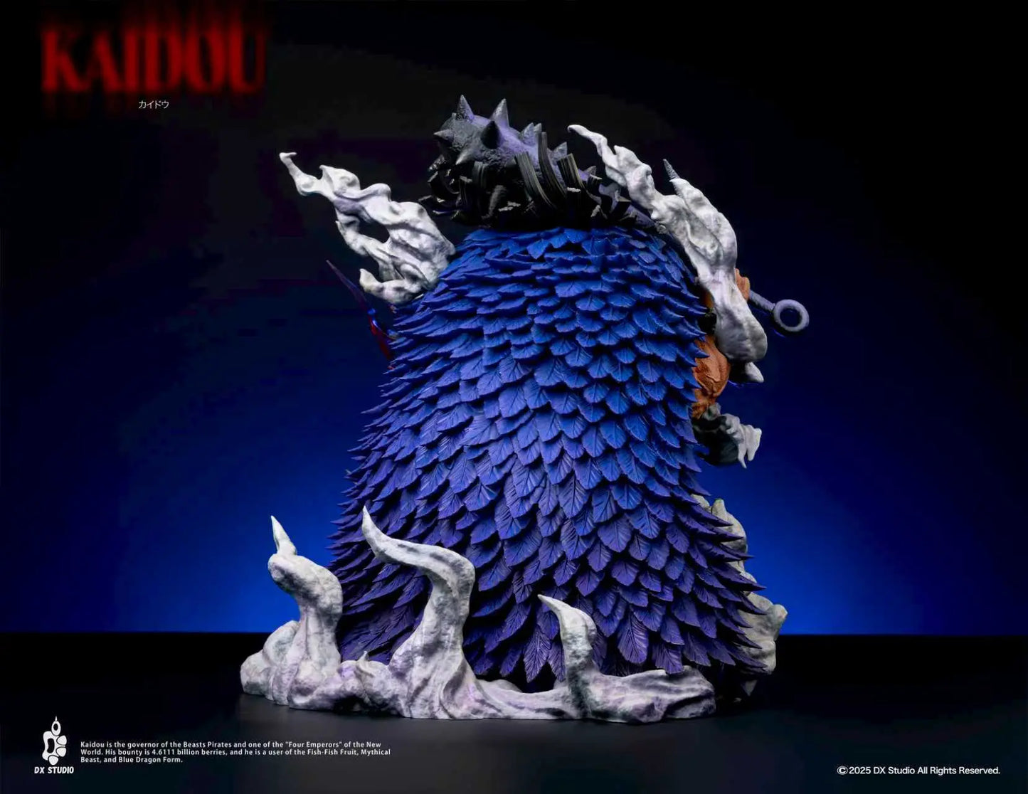 DX - Kaido