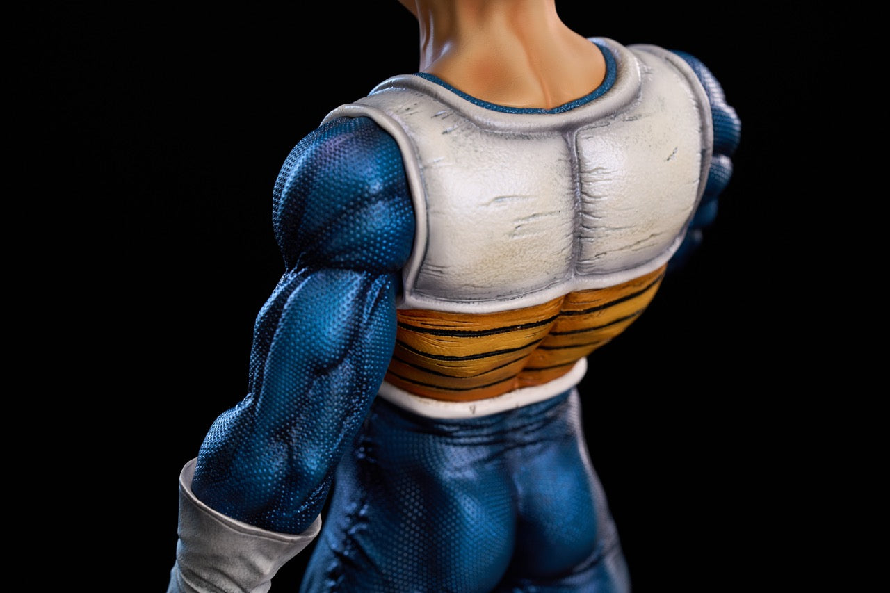 To Youth - Vegeta