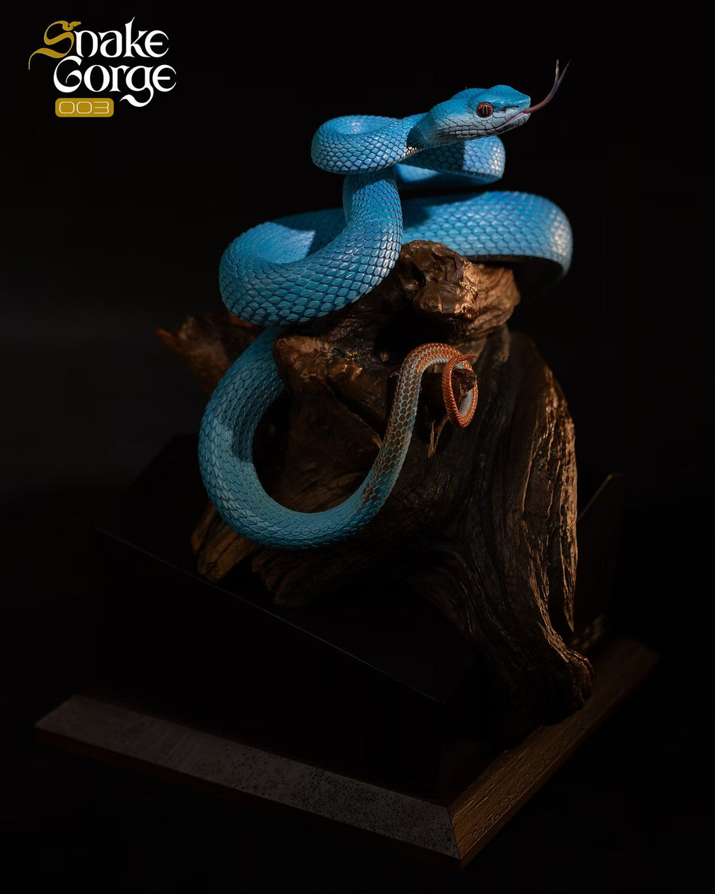 Snake Gorge - Indonesian pit viper