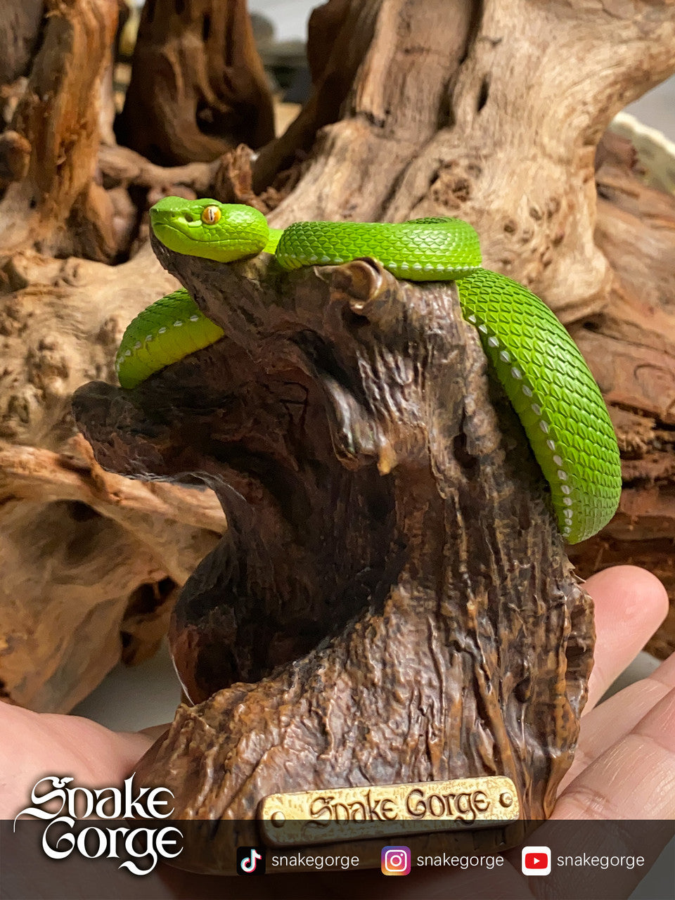 Snake Gorge - Trimeresurus