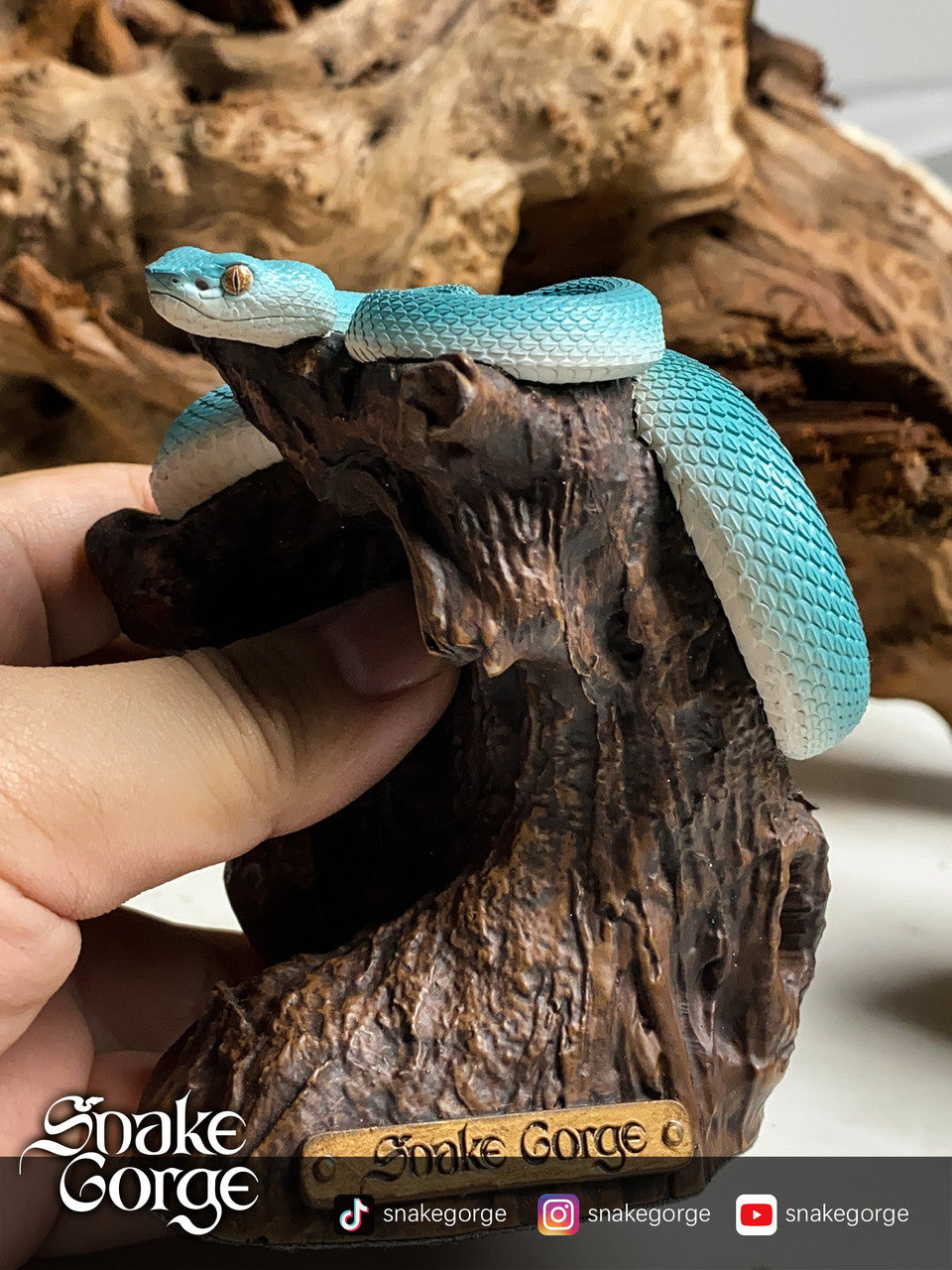 Snake Gorge - Trimeresurus