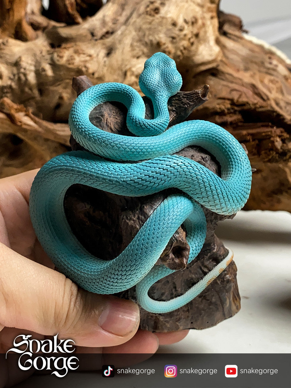 Snake Gorge - Trimeresurus