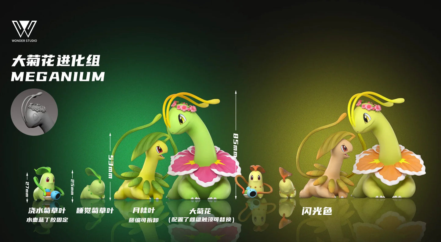 Wonder - Meganium, Bayleef and Chikorita