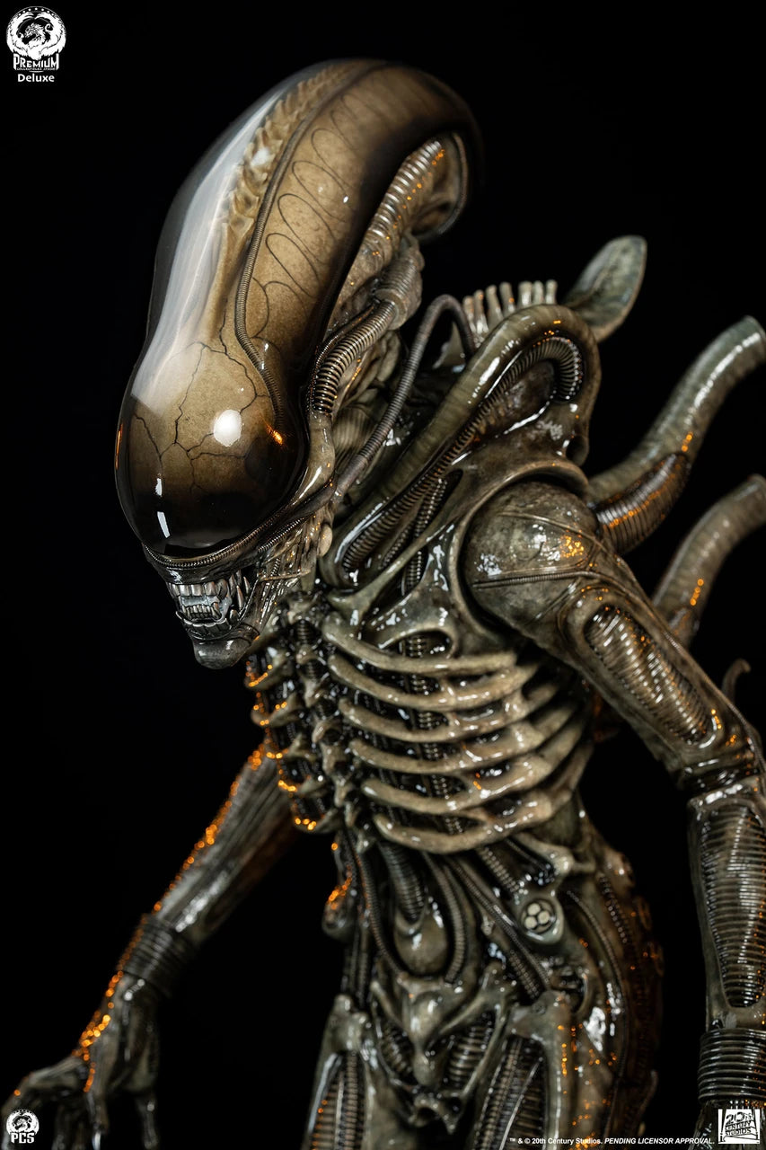 Premium Collectibles - Big Chap Alien
