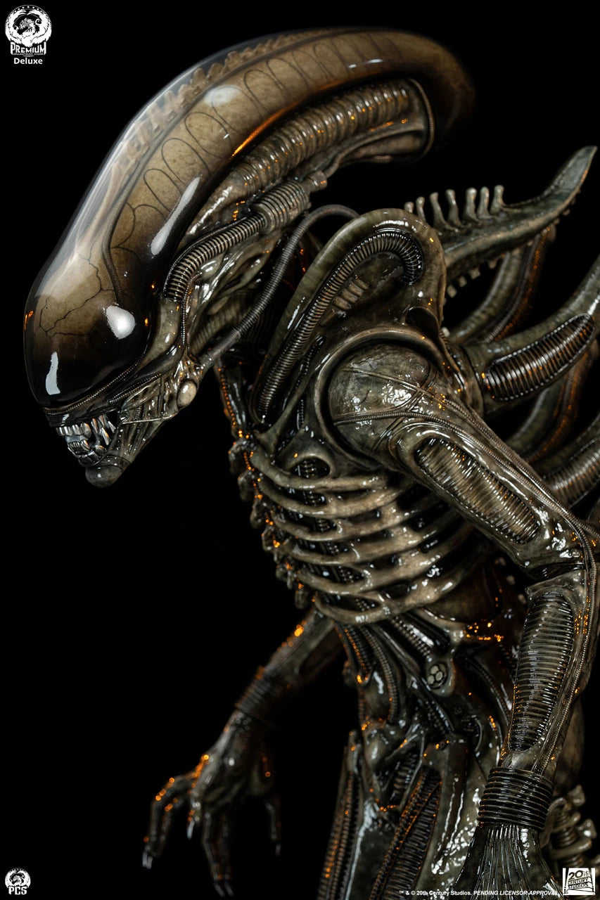 Premium Collectibles - Big Chap Alien