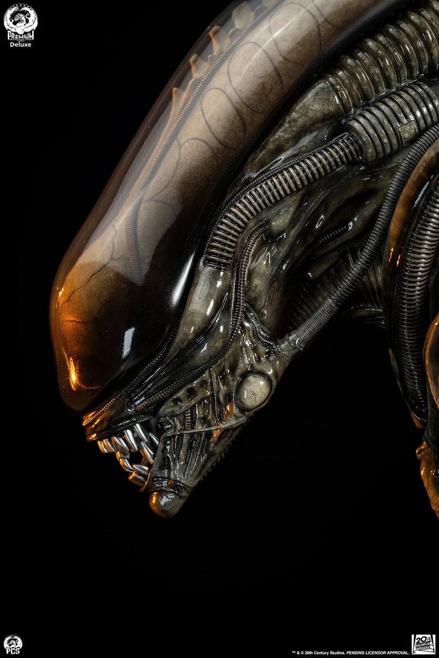 Premium Collectibles - Big Chap Alien