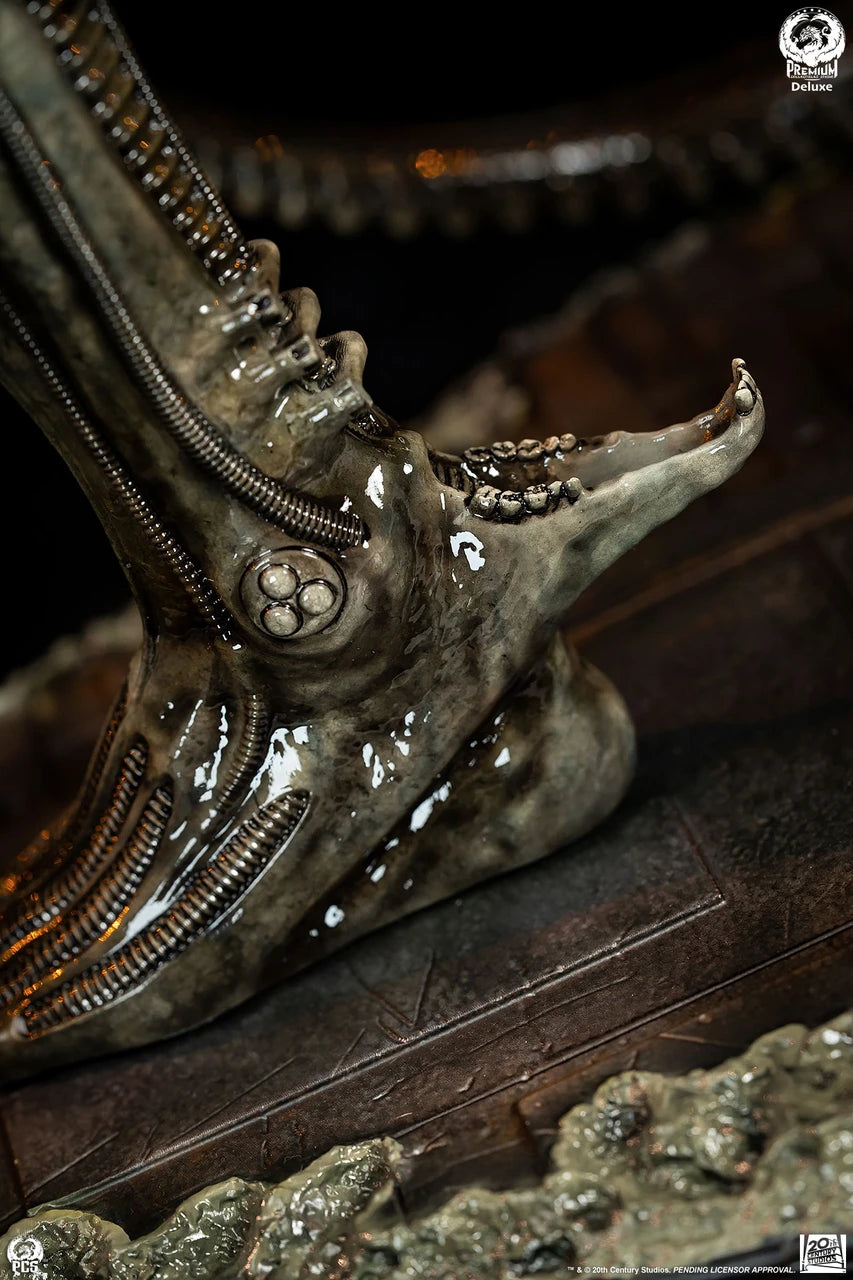 Premium Collectibles - Big Chap Alien