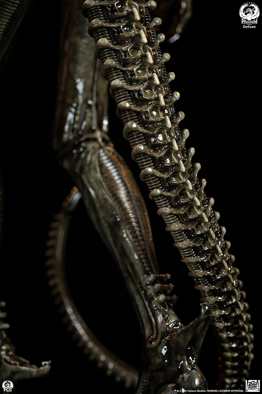Premium Collectibles - Big Chap Alien