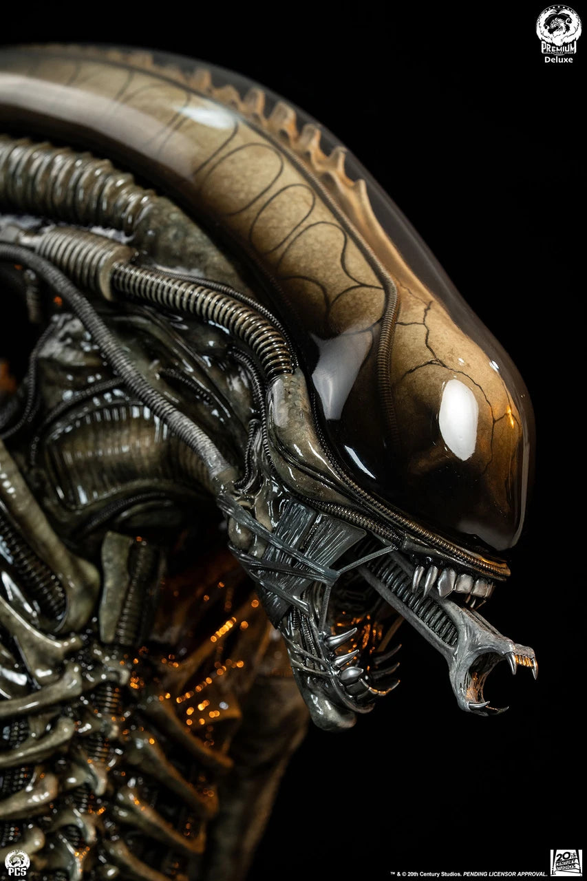 Premium Collectibles - Big Chap Alien