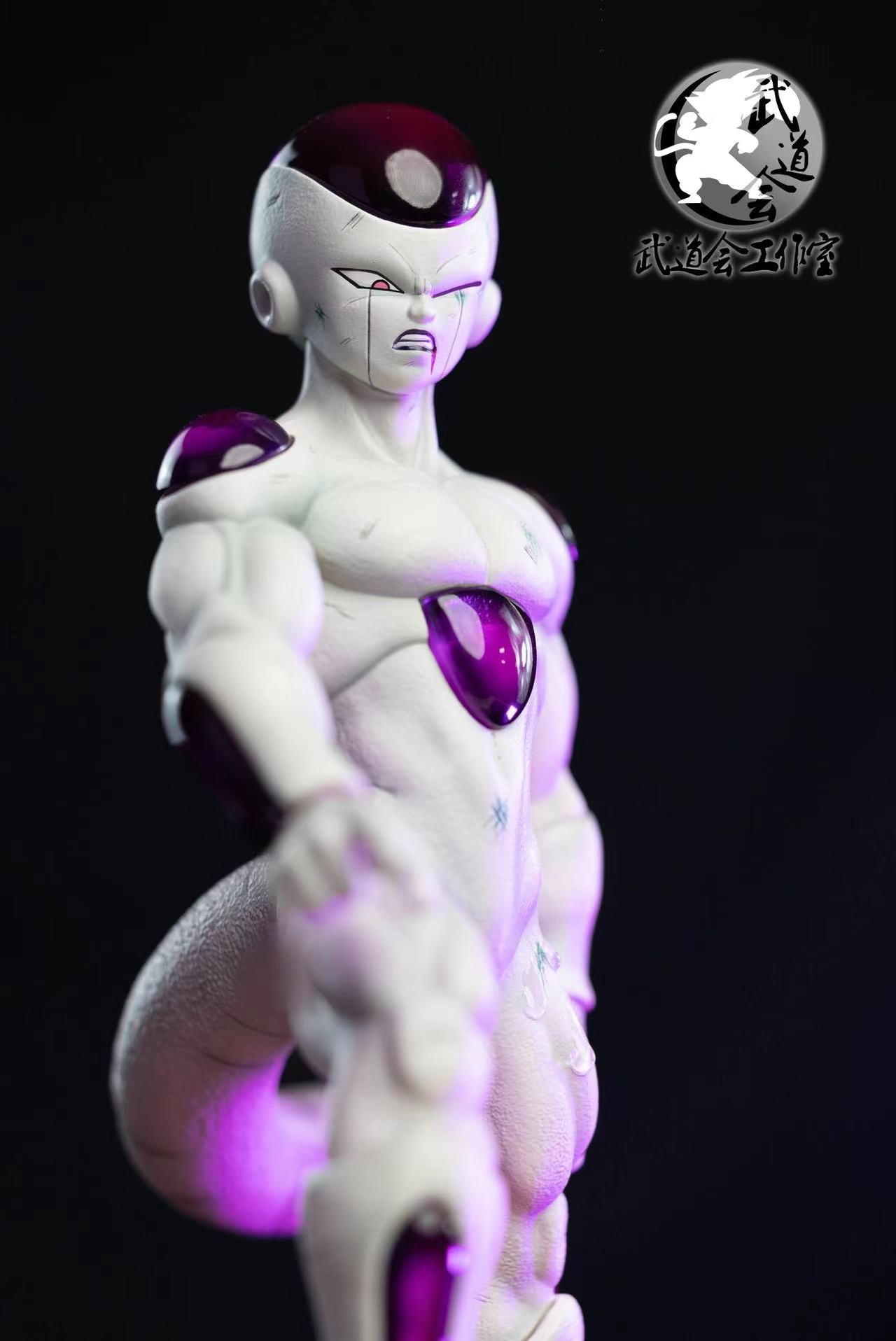 Budokai - Frieza