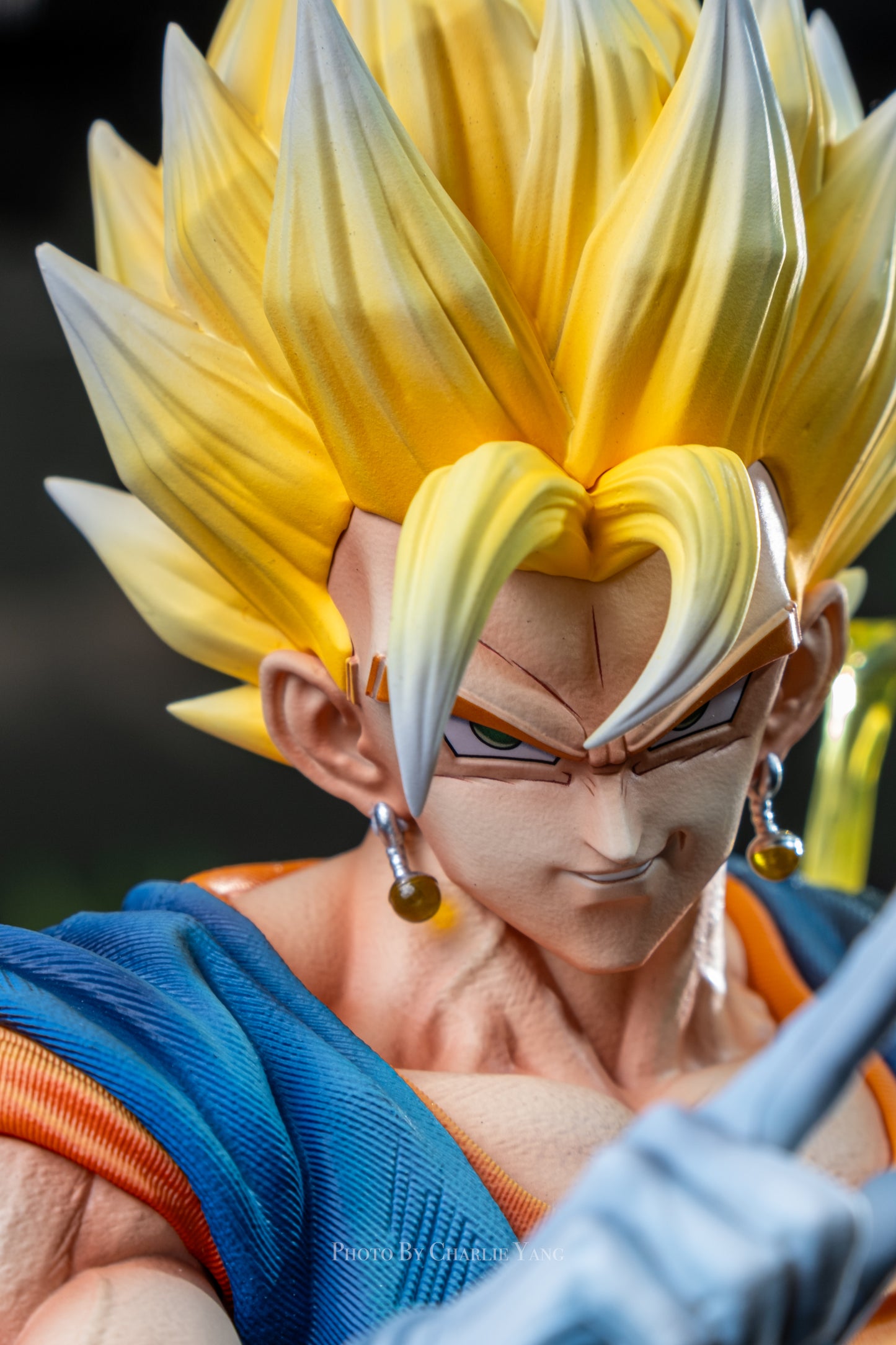 KAW - Vegito